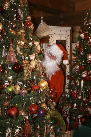 Santa peeks around a tree at Creighton Edward on Thursday afternoon. Community members in Issaquah may have seen Santa riding around in some alternate transportation on Thursday as he visited businesses with Reporter Publisher Renee Walden.