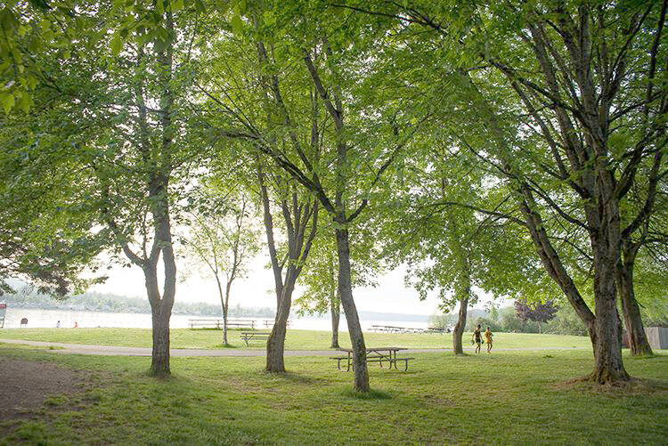 The Friends of Lake Sammamish State Park have worked to protect and improve the park for local and tourist recreation. Photo courtesy of the Friends of Lake Sammamish State Park