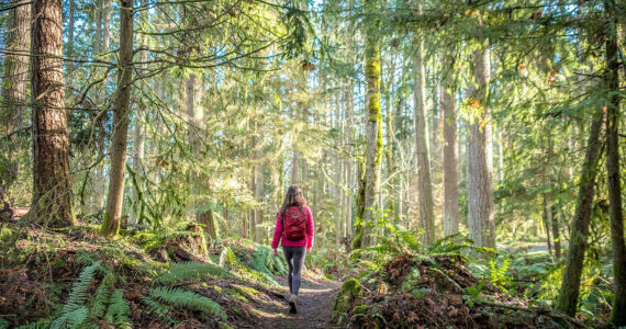 Photo courtesy of King County Parks.