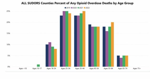 Screenshot of SUDORS from Dept. of Health website