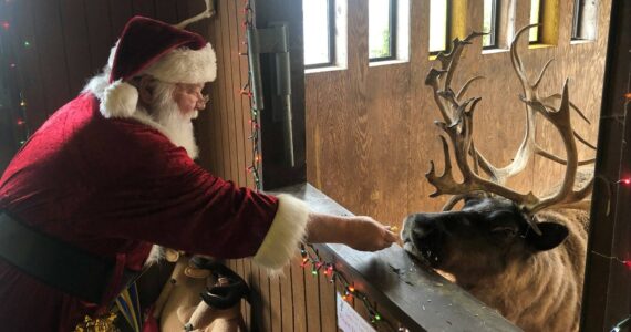 Santa at Cougar Mountain Zoo (Photo courtesy Cougar Mountain Zoo)