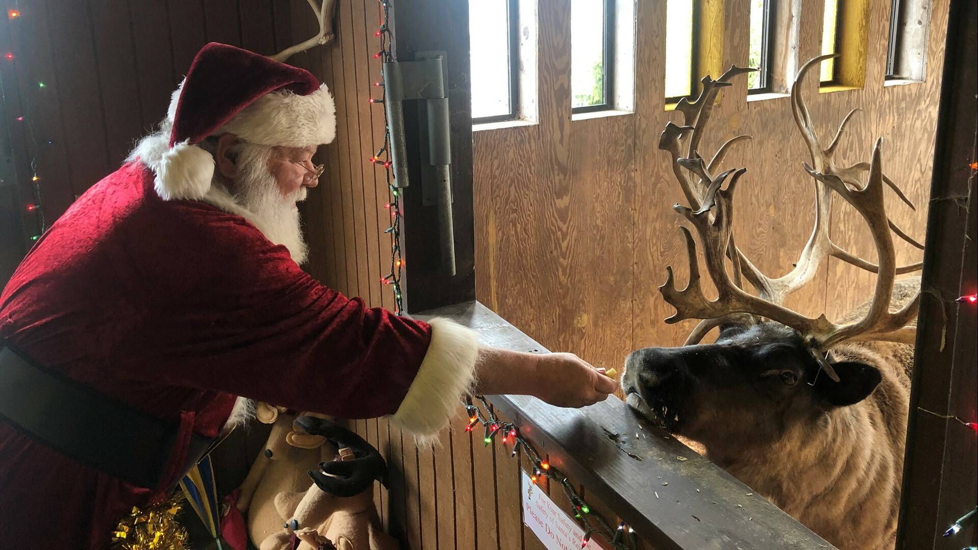 Santa at Cougar Mountain Zoo (Photo courtesy Cougar Mountain Zoo)