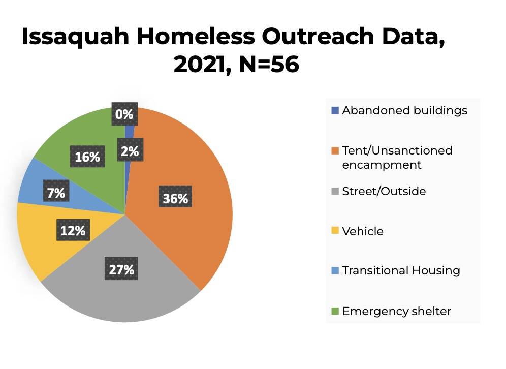 Pie chart shows the homeless outreach from Issaquah’s 2022 Human Services Strategic Plan. (Screenshot)