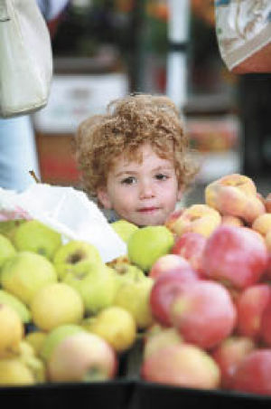 A young Farmers Market patron searches over apples for the perfect snack last fall.